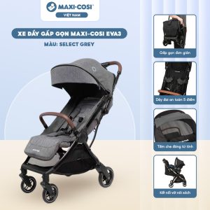 noi xach kiem ghe ngoi o to maxi cosi pebble 360 pro 2 cong