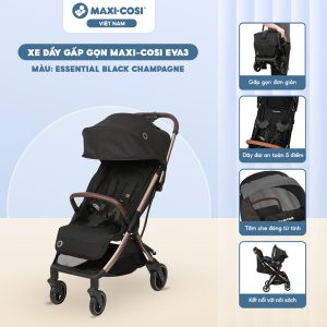 noi xach kiem ghe ngoi o to maxi cosi pebble s tonal